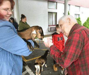 Sundale celebrates National Nursing Home Week with petting zoo